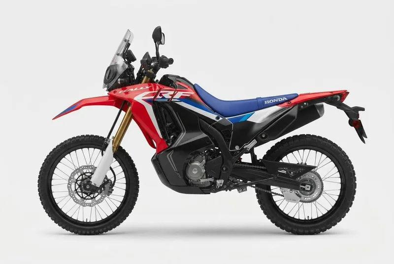 Honda CRF300 Rally